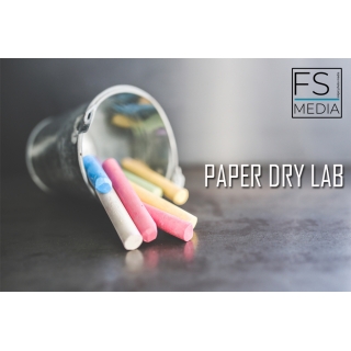 FS Paper Dry Lab 20,3 x 65 m Lustre 240